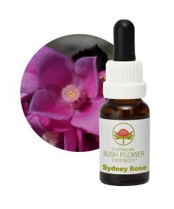 Sydney Rose, 15 ml